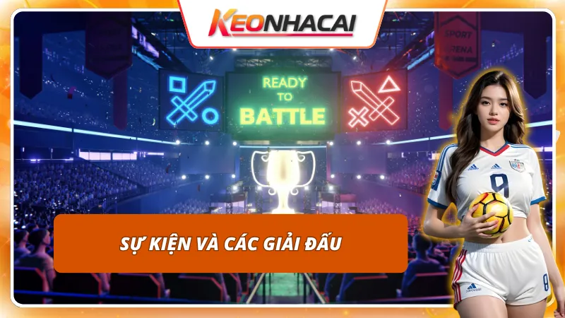 Những sự kiện và giải đấu được HAYWIN tổ chức vô cùng sôi động